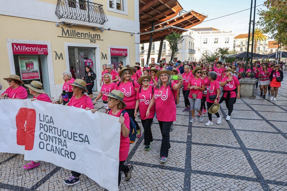 Centenas avançam em projeto contra o tumor mamário