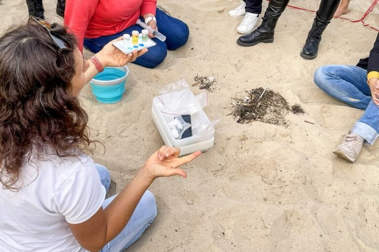 Cidade realiza capacitação ecológica para educadores