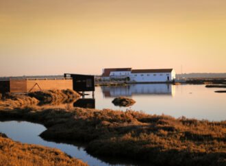 Setúbal Celebra o Dia Global do Turismo do Vinho