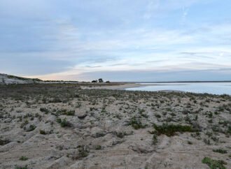 Explorando Mitrena e a Foz do Sado com o Atlas Coletivo