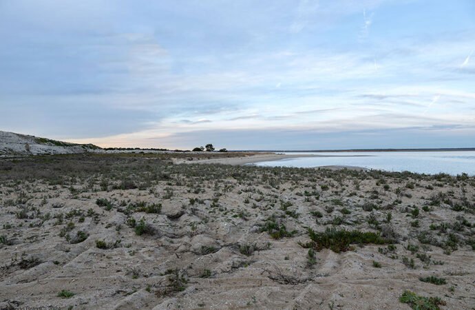 Explorando Mitrena e a Foz do Sado com o Atlas Coletivo