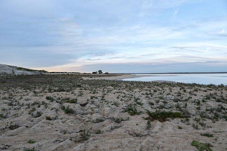 Explorando Mitrena e a Foz do Sado com o Atlas Coletivo