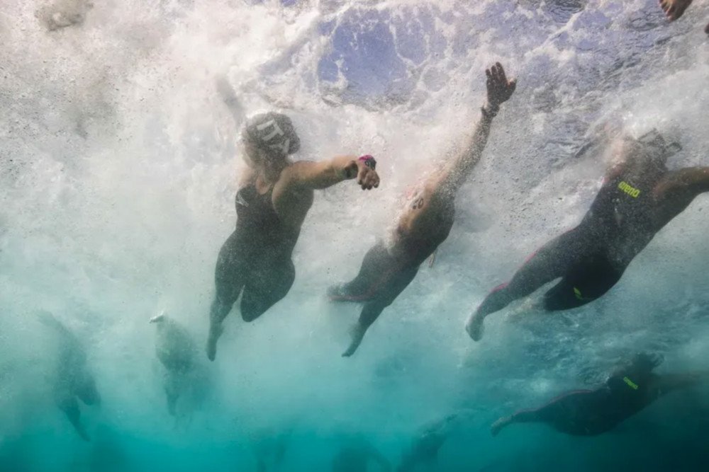 Setúbal na trilha do campeonato de natação em águas livres