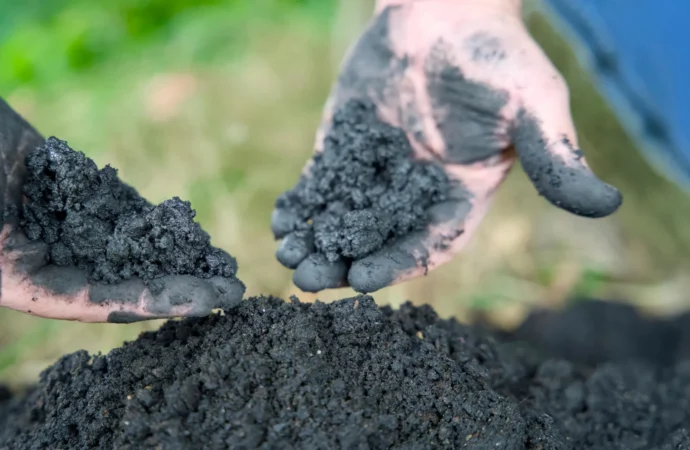 O poder oculto do biochar pode revolucionar a água potável para sempre.