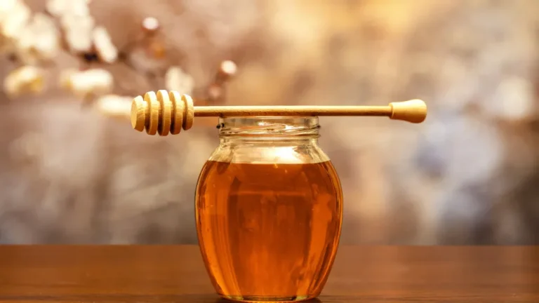 A produção de mel caiu cerca de 70% na região Transmontana. Por quê? - PPulse