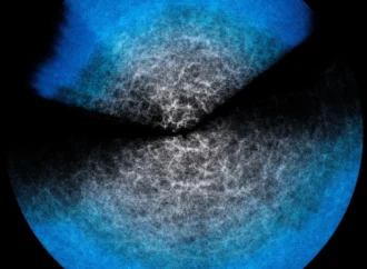 Simulações Cósmicas que Antes Demandavam Supercomputadores Agora Funcionam em um Notebook