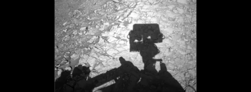 O Grande Colisor de Hádrons finalmente esclarece como a matéria delicada se forma.