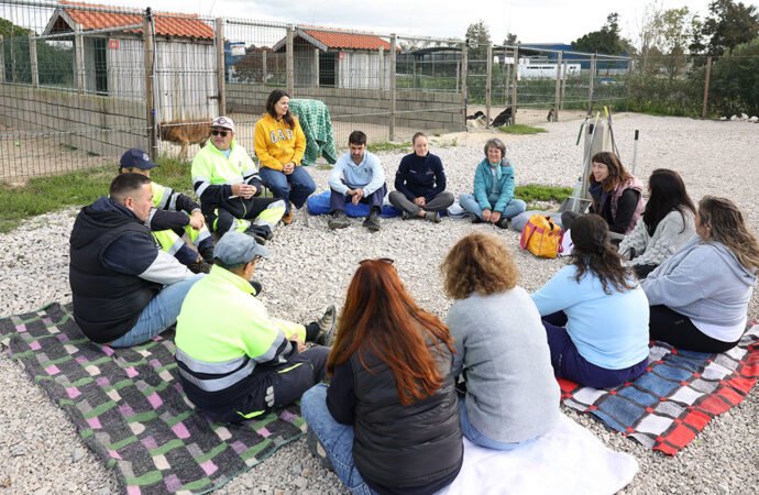Capacitação Intensifica Habilidades para o Cuidado Animal