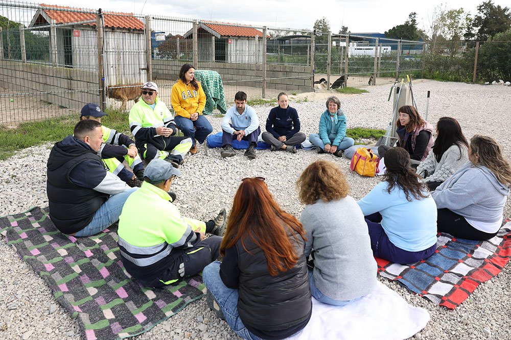 Capacitação Intensifica Habilidades para o Cuidado Animal