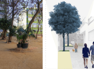 Transformação de áreas urbanas em Vanicelos requer substituição de árvores