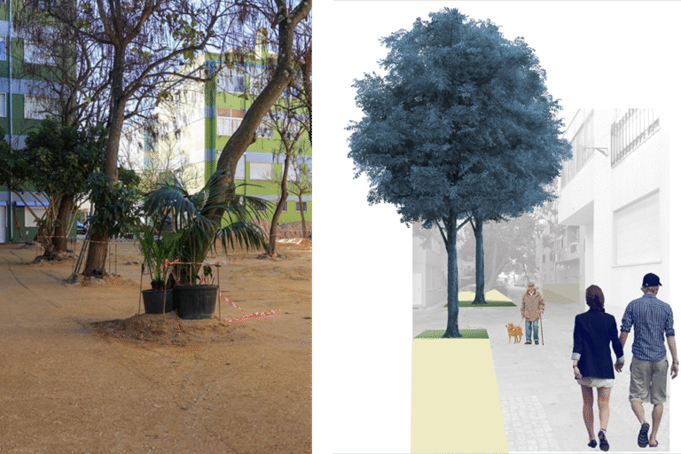 Transformação de áreas urbanas em Vanicelos requer substituição de árvores