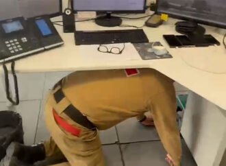 Atividade de Autodefesa em Situações de Terremoto