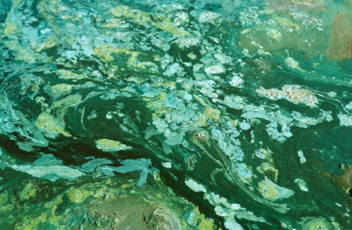 Cientistas revelam o que atrasou o surgimento do oxigênio terrestre por um bilhão de anos