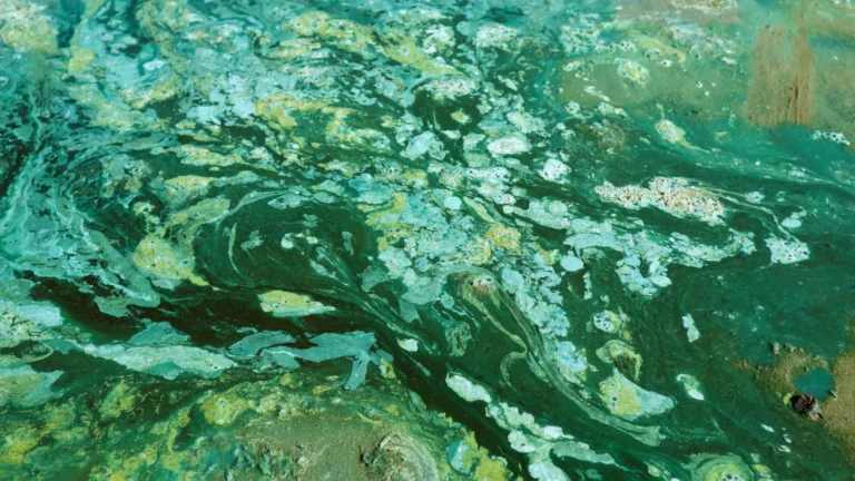 Cientistas revelam o que atrasou o surgimento do oxigênio terrestre por um bilhão de anos