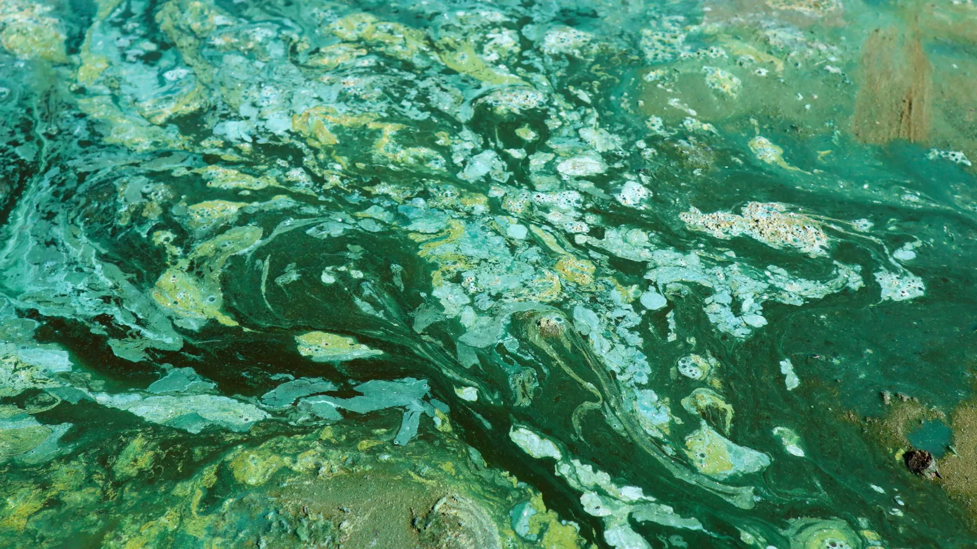 Cientistas revelam o que atrasou o surgimento do oxigênio terrestre por um bilhão de anos