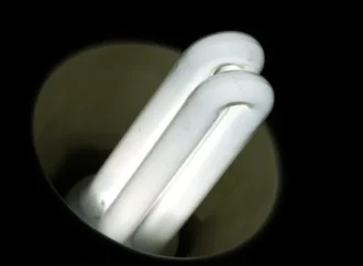 Atualização da Rede Elétrica da Baía no Brasil com Financiamento do EIB – PPulse