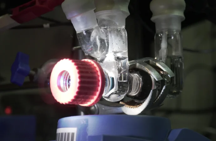 Esta folha artificial transforma poluição em energia