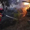 Especialistas de 19 nações em Porto para debater motivos de incêndios.