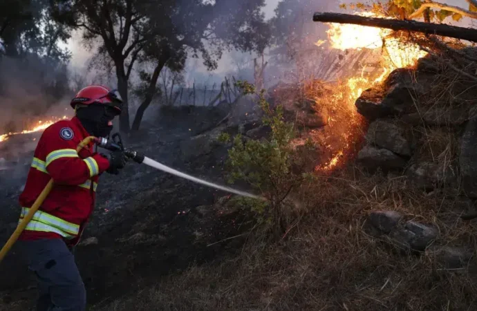 Especialistas de 19 nações em Porto para debater motivos de incêndios.