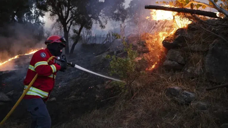 Especialistas de 19 nações em Porto para debater motivos de incêndios.