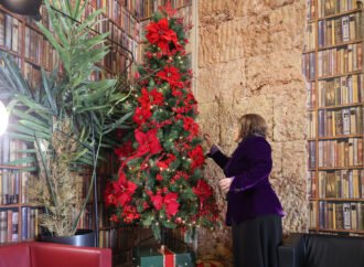 Edifícios públicos enfeitam-se para as festas com o talento dos colaboradores