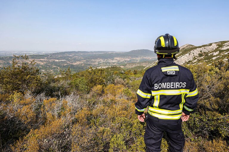 Normativa de Utilização do Fogo em Análise Pública
