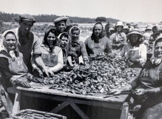 Imagens ressaltam feições na colheita da vieira – Atualizações de Setúbal