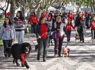 Celebrações de Setúbal durante o Natal até 6 de janeiro
