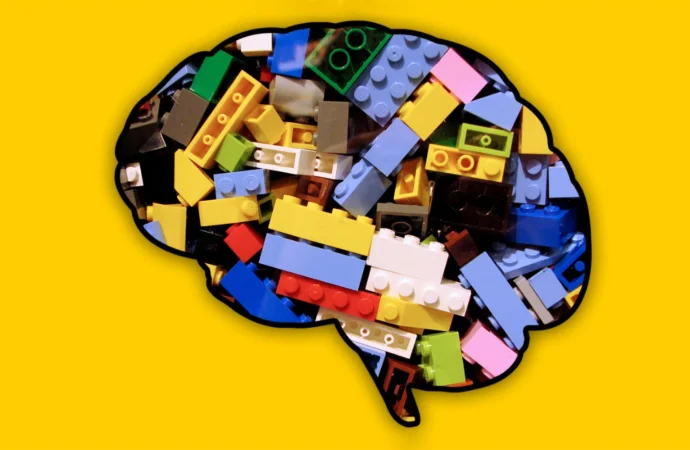 Cientistas revelam os obstáculos ocultos da aprendizagem cerebral