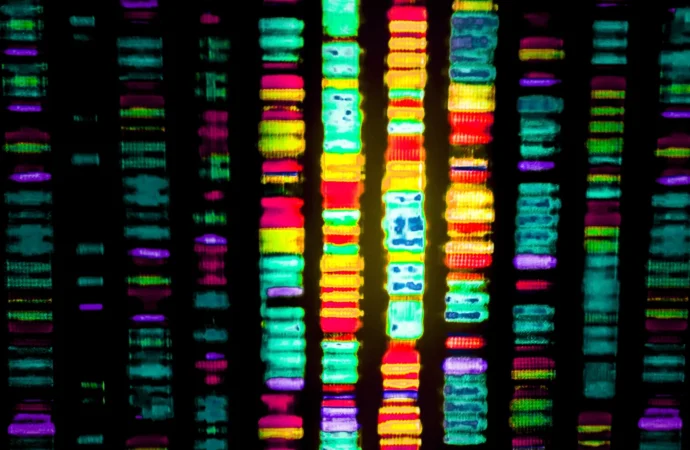 O Mistério dos 98%: Pesquisadores Decifraram o Enigma do DNA Inútil Relacionado ao Alzheimer