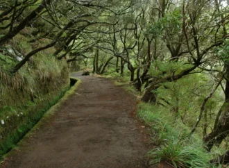 Caminhos de Trekking em Madeira Interrompidos por Previsão Climática Adversa – PPulse