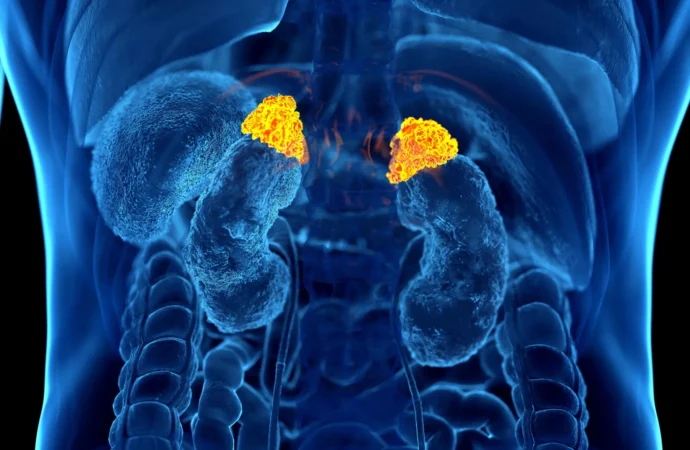 IA descobre um sinal de estresse oculto em exames de TC