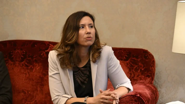 IL denuncia PS por "gerar desordem" e solicita supervisão da legislação nacional.