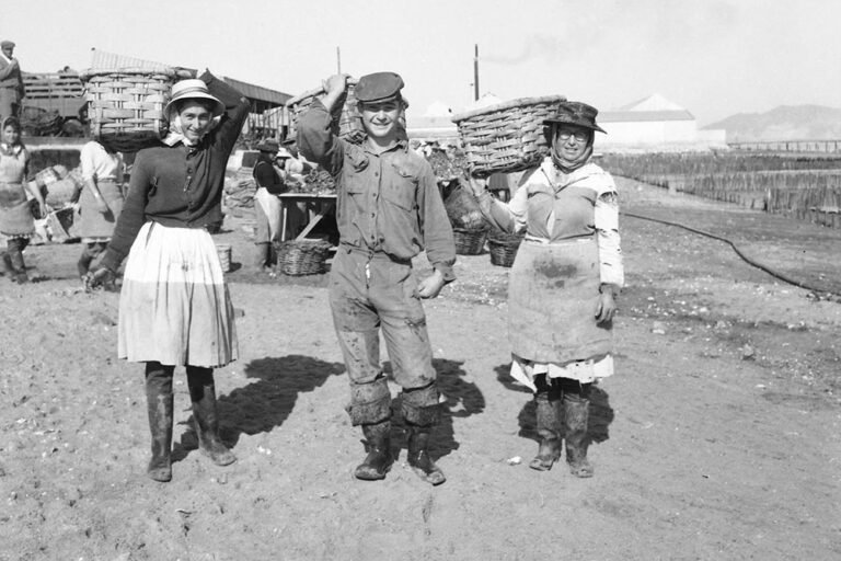 Coleção visual digital aprimorada