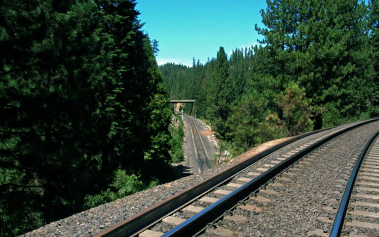 A Transdev examinará todos os procedimentos na concessão secundária de rotas da CP