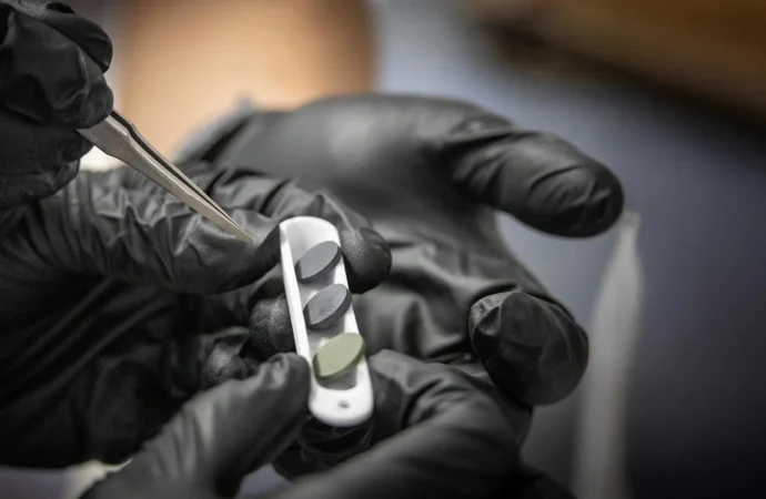 Imported Article – 2026-01-10 07:52:25