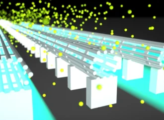 Imported Article – 2026-01-21 09:24:16