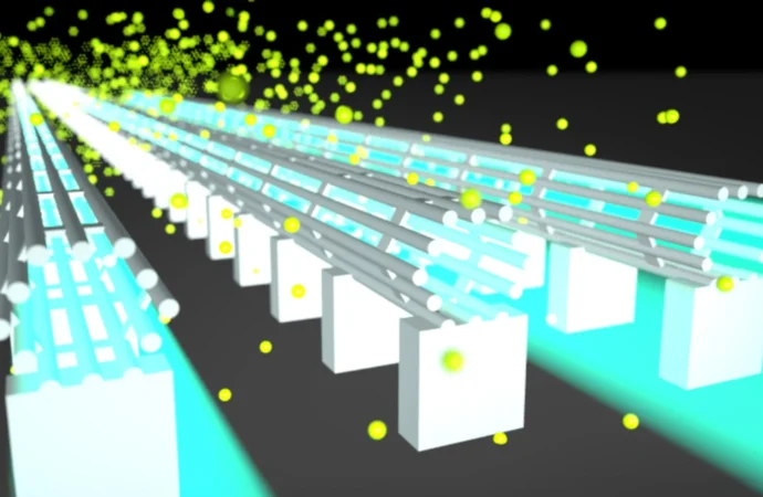 Imported Article – 2026-01-21 09:24:16