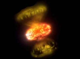 Imported Article – 2026-01-25 09:48:07