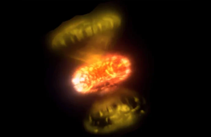 Imported Article – 2026-01-25 09:48:07