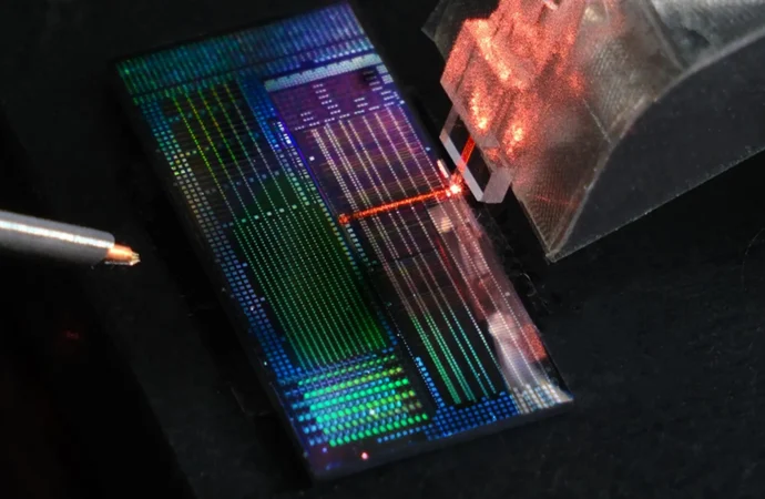 Imported Article – 2026-01-30 18:15:13