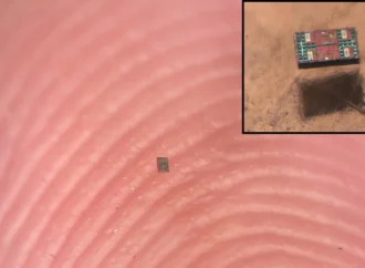 Cientistas desenvolvem robôs menores que um grão de sal que possuem inteligência