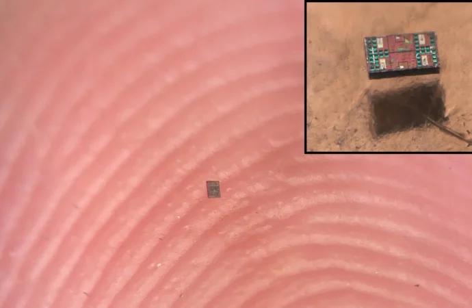 Cientistas desenvolvem robôs menores que um grão de sal que possuem inteligência