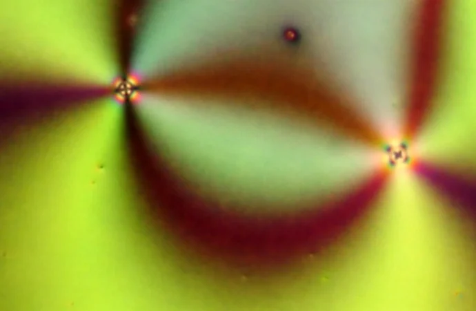 Pesquisadores utilizam IA para decifrar os segredos dos padrões mais intricados da natureza 1.000 vezes mais rápido.