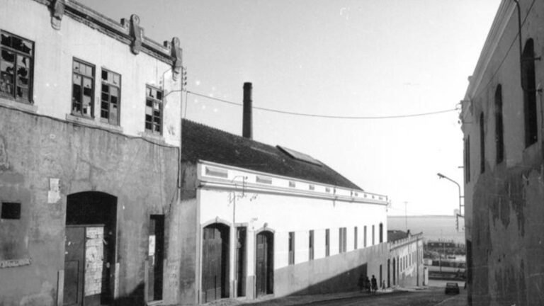 Delícias e tradições das conservas retornam à mesa em Setúbal