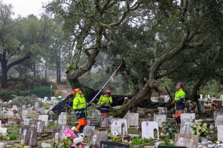 Cemitério da Serenidade reabre e Cemitério da Misericórdia segue restrito