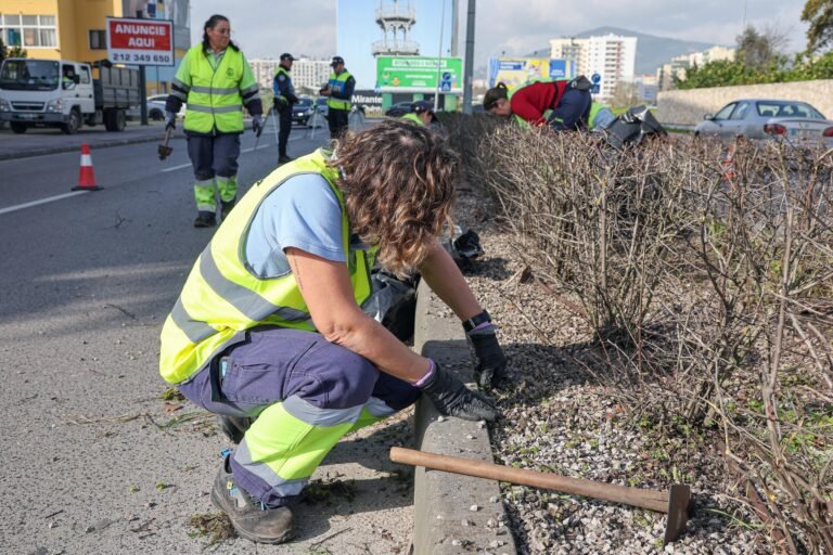 Corte de Vegetação na Rua Antero de Quental