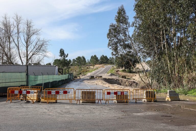Prefeitura de Setúbal realiza encontro aberto sobre Caminho da Floresta