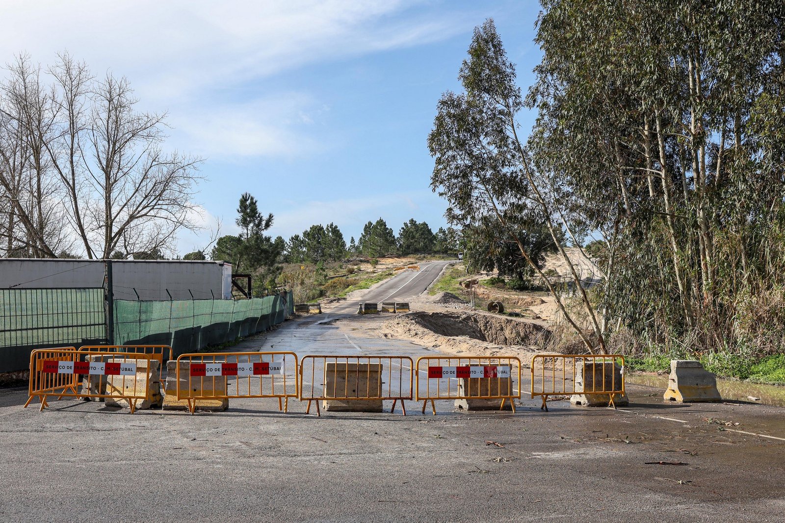 Prefeitura de Setúbal realiza encontro aberto sobre Caminho da Floresta