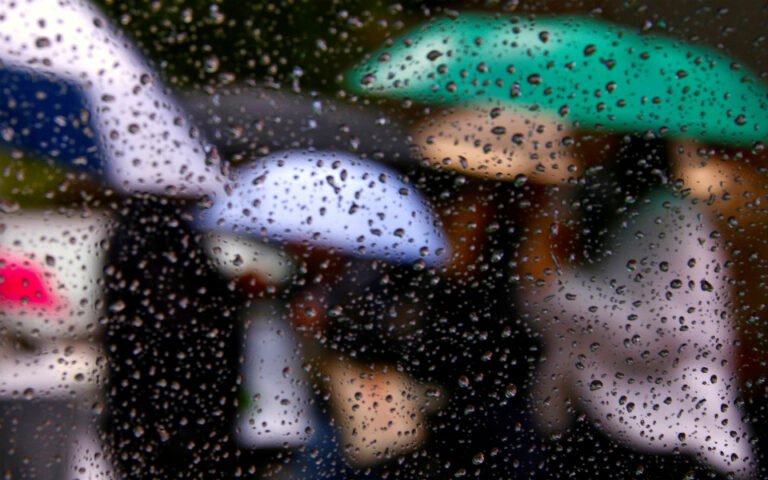 Coimbra registra marca histórica de chuvas entre outubro de 2025 e fevereiro